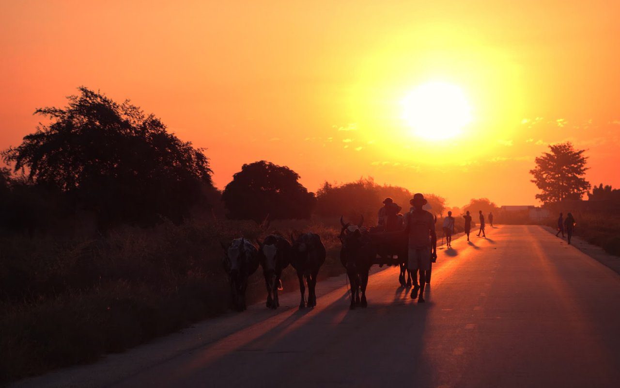 Coucher de soleil sur la route Miandrivazo Sud de Madagascar- Charette à zébu